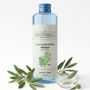 Hydrolat(eau) de feuilles d'oliviers Biologiques